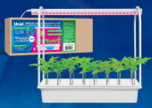 Набор для гидропоники "Минисад AQUA SIMPLE", светильник для растений светодиодный с подставкой.ULT-P44B-10W/SPSB IP40 AQUA SIMPLE WHITE 