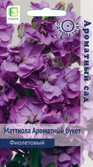 mattiola_aromatniy_buket_fioletoviy