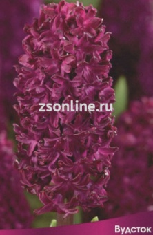 Изображение загружено обработкой по данным файла Excel