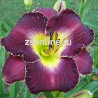 Изображение загружено обработкой по данным файла Excel