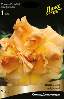 Изображение загружено обработкой по данным файла Excel