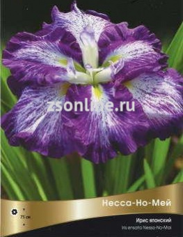 Изображение загружено обработкой по данным файла Excel