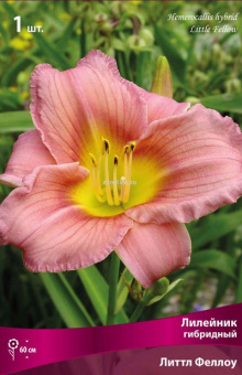 Изображение загружено обработкой по данным файла Excel