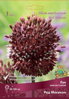 Лук аметистовый Ред Могикан 10-12/К 3шт