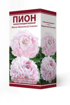 pion_moloch_missis_franklin_d_ruzvelt_3D