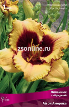 Изображение загружено обработкой по данным файла Excel