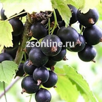 Изображение загружено обработкой по данным файла Excel