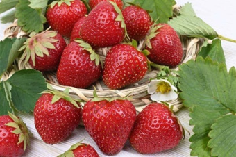 Земляника садовая Аллегро (Р9)