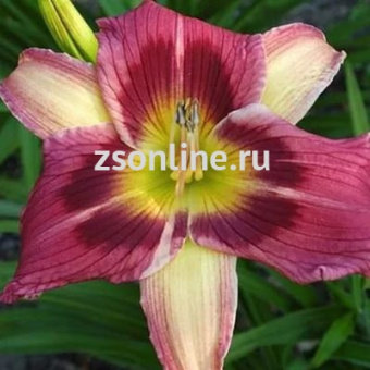 Изображение загружено обработкой по данным файла Excel