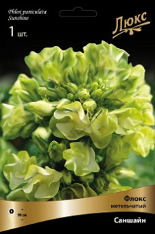 floks_metelch_sanshine_kaper