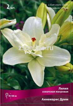 Изображение загружено обработкой по данным файла Excel