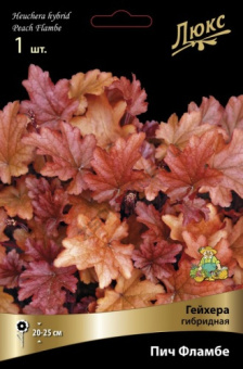 Гейхера гибридная Пич Фламбе*/К