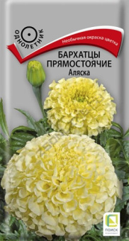 barhatsy_pryamost_alaska