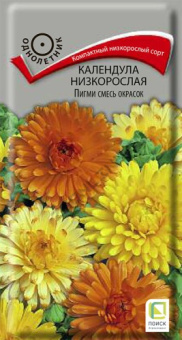 kalendula_nizkoros_pigmi_smes_okrasok