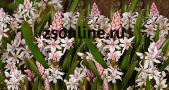 Изображение загружено обработкой по данным файла Excel