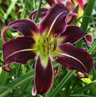 46f4b22029123d4efd240fda9af1d3fd-e1545610415696