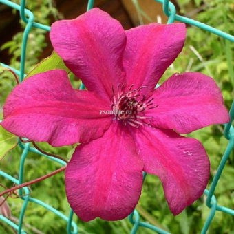 Изображение загружено обработкой по данным файла Excel