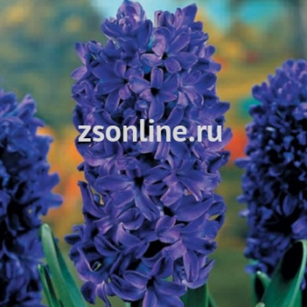 Изображение загружено обработкой по данным файла Excel