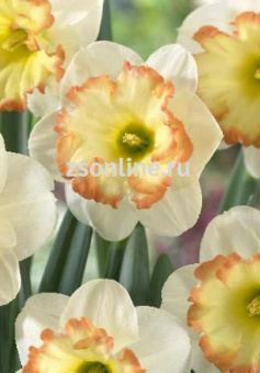 Изображение загружено обработкой по данным файла Excel