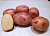 Картофель семенной Жуковский ранний, 3 кг+ Удобрение АгроТех	