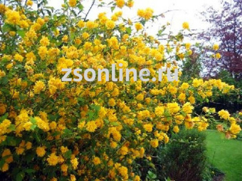 Изображение загружено обработкой по данным файла Excel