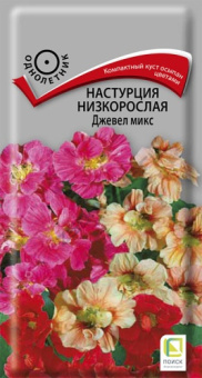 nastrucia_nizkorosl_jewel_mix
