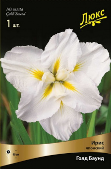 Изображение загружено обработкой по данным файла Excel