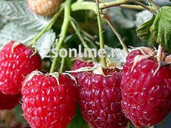 Изображение загружено обработкой по данным файла Excel