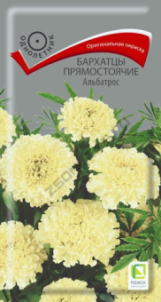 barhatsy_pryamost_albatros