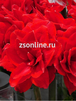 Изображение загружено обработкой по данным файла Excel