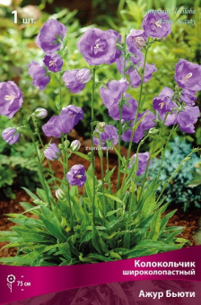 Изображение загружено обработкой по данным файла Excel