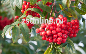 Изображение загружено обработкой по данным файла Excel