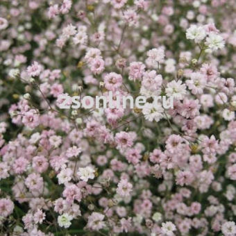 Изображение загружено обработкой по данным файла Excel