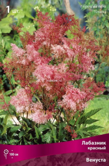 Изображение загружено обработкой по данным файла Excel