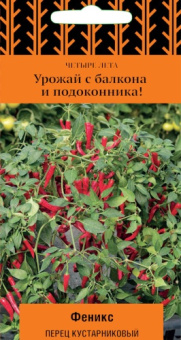 Перец кустарниковый Феникс (сер.Четыре лета) (А) (ЦВ) 5 шт П/№1076