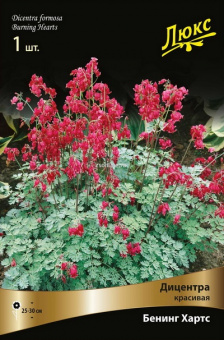 Изображение загружено обработкой по данным файла Excel