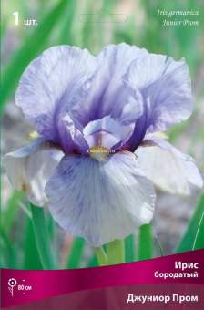 Изображение загружено обработкой по данным файла Excel