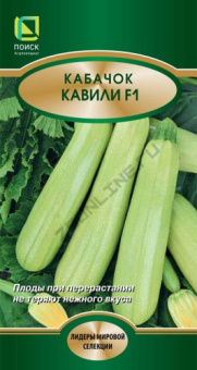 Кабачок Кавили