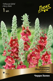 Коровяк люкс V 2 л 