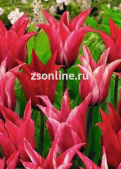 Изображение загружено обработкой по данным файла Excel