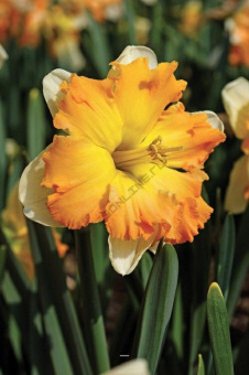 53a107fdf0aa001a269360d4b20316f1