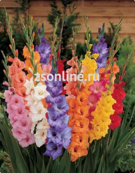 Изображение загружено обработкой по данным файла Excel