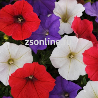 Изображение загружено обработкой по данным файла Excel