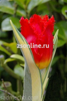 Изображение загружено обработкой по данным файла Excel