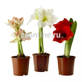 Изображение загружено обработкой по данным файла Excel