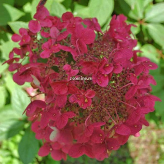 753e4aba032e845b1ecb67d283182b7f