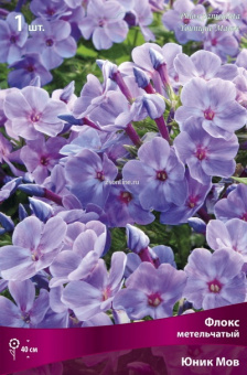 Изображение загружено обработкой по данным файла Excel