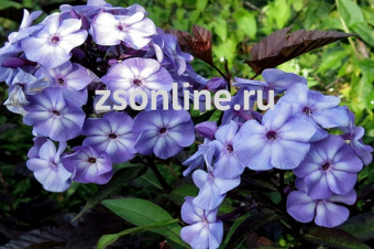 Изображение загружено обработкой по данным файла Excel