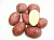 Картофель семенной Любава, 3 кг