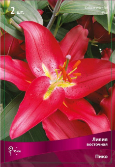 Изображение загружено обработкой по данным файла Excel